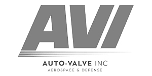Buckaroo Marketing - AutoValve Incorporated