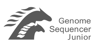 Buckaroo Marketing - Roche Genome Sequencer Junior