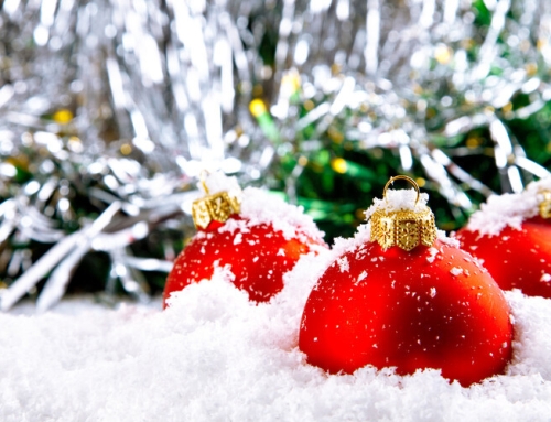 Happy Holidays from the Buckaroo Team!
