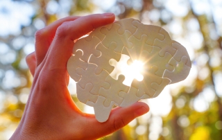 Buckaroo Marketing - Focused Strategy