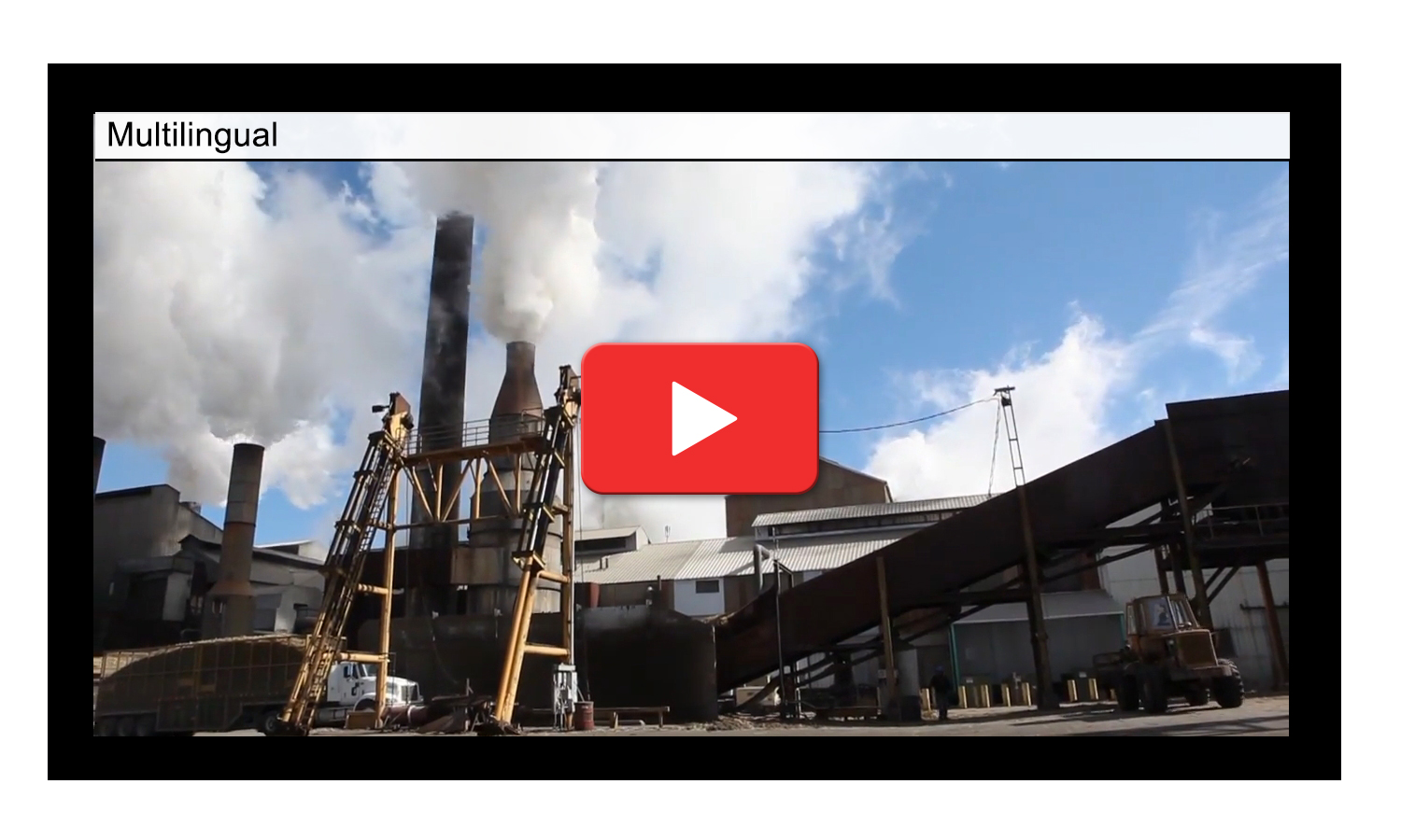 Buckaroo Marketing - Multilingual