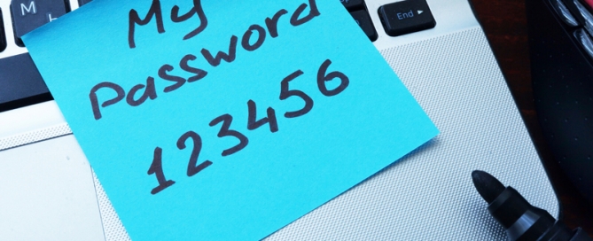 Buckaroo Marketing - My Password